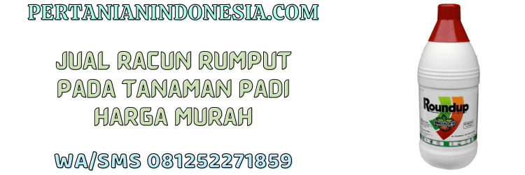 jual,murah,terjangkau,toko pertanian terdekat,pertanian indonesia